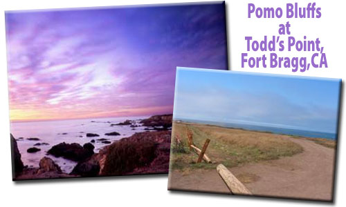 Pomo Bluffs on Todd's Point