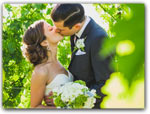Click for more information on Brutocao Cellars Weddings.