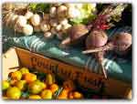 Click for more information on Mendocino County Farmers Market.