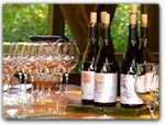 Click for more information on Phillips Hill Winery.