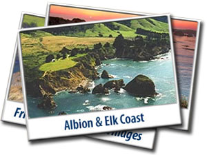 Postcards Albion Elk