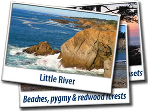 Postcards Little River