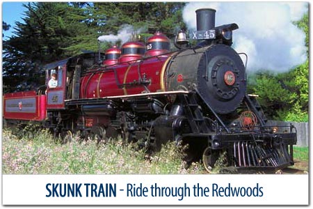 TRAVEL THROUGH TIME ON THE SKUNK TRAIN