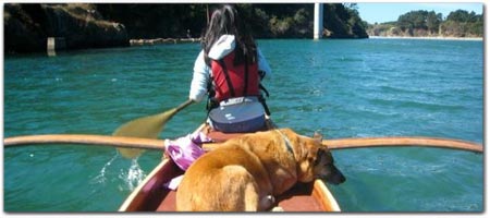 Catch a Canoe & Kayak Rentals