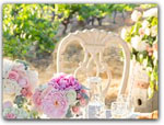 Click for more information on Weddings at Testa Vineyards.