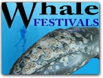 Click for more information on MENDOCINO WHALE FESTIVALS.